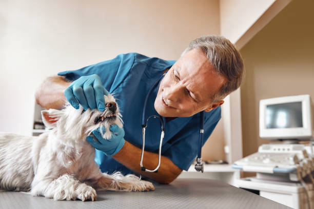 Best Emergency Root Canal Treatment in Hillsville, VA